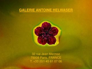 GALERIE ANTOINE HELWASER 32 rue Jean Mermoz 75008 Paris, FRANCE T. +33 (0)1 45 61 07 06