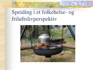 Speiding i et folkehelse- og friluftslivperspektiv