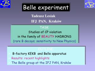 TASK: Studies of CP violation in the family of BEAUTY HADRONS