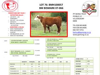 LOT 76: BMH100057 BM BISMARK 07-066