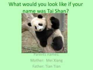 What would you look like if your name was Tai Shan?