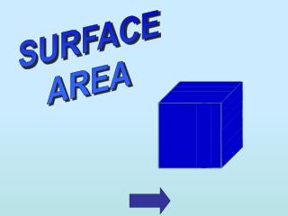 SURFACE AREA