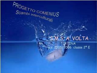 S.M.S. A. VOLTA LATINA a.s. 2005/2006 classe 2 ª E