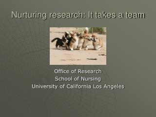 Nurturing research: It takes a team