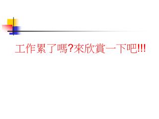 工作累了嗎 ? 來欣賞一下吧 !!!