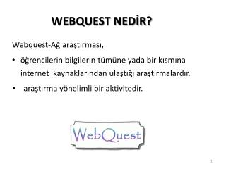 WEBQUEST NEDİR?