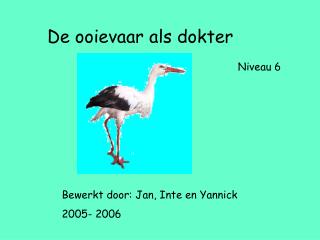 De ooievaar als dokter