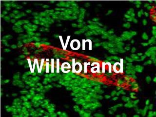 Von Willebrand