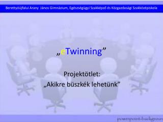 „ e Twinning ”