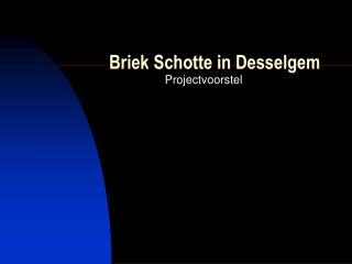 Briek Schotte in Desselgem