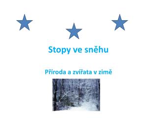 Stopy ve sněhu