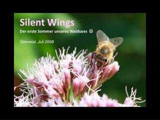 Silent Wings Der erste Sommer unseres Waldsees  Seevetal, Juli 2008