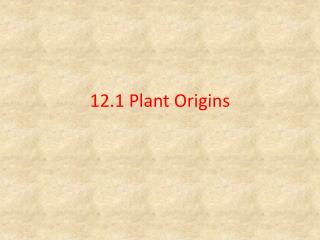 12.1 Plant Origins