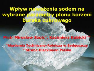 Wpływ nawożenia sodem na wybrane parametry plonu korzeni buraka cukrowego