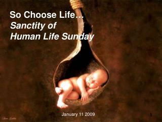 So Choose Life… Sanctity of Human Life Sunday