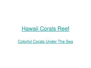 Hawaii Corals Reef