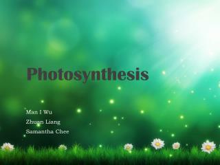 Photosynthesis