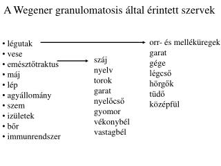 A Wegener granulomatosis által érintett szervek