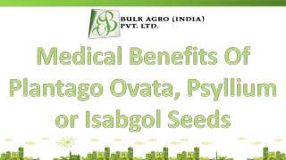 Medical Benefits Of Plantago Ovata, Psyllium or Isabgol Seed