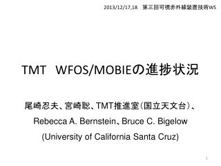 TMT WFOS/MOBIE の進捗状況