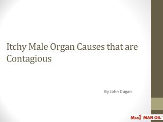 Itchy Male Organ Causes that are Contagious