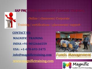 SAP TESTING ONLINE TRAINING IN USA