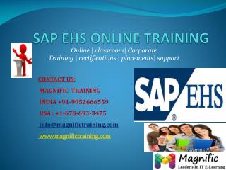 SAP EHS ONLINE TRAINING IN SOUTH AFRICA