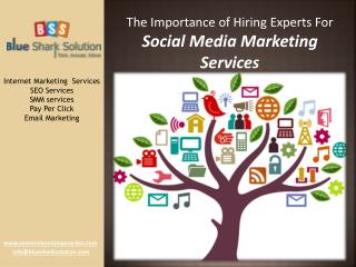 Experts for social media marketing services