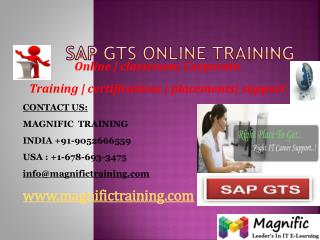 SAP GTS ONLINE TRAINING IN UK