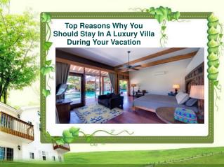 Top Reasons Why You Should Stay In A Luxury Villa During You