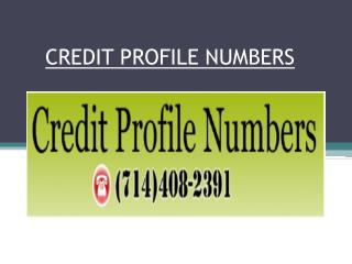 Credit Profile Number