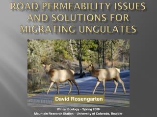 Road permeability issues and solutions for migrating ungulates