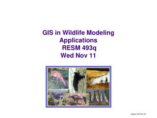 GIS in Wildlife Modeling Applications RESM 493q Wed Nov 11