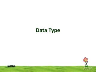 Data Type