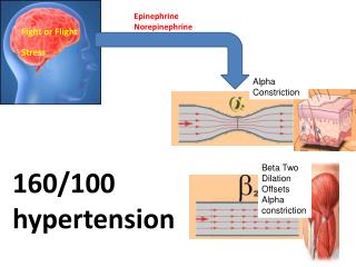 Epinephrine Norepinephrine