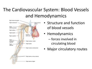 The Cardiovascular System: Blood Vessels and Hemodynamics