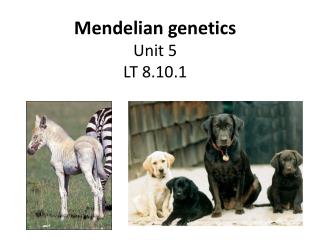 Mendelian genetics Unit 5 LT 8.10.1