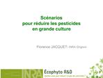 Sc narios pour r duire les pesticides en grande culture