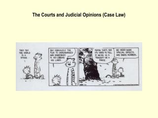 The Courts and Judicial Opinions (Case Law)