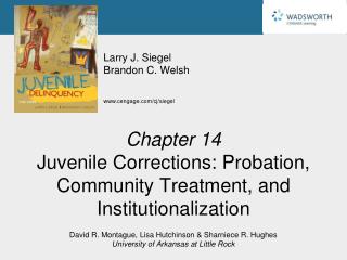 Chapter 14 Juvenile Corrections: Probation, Community Treatment, and Institutionalization