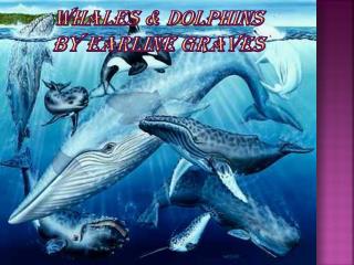 Whales &amp; Dolphins BY EARLINE GRAVES