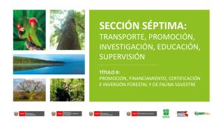 SECCIÓN SÉPTIMA: TRANSPORTE, PROMOCIÓN, INVESTIGACIÓN, EDUCACIÓN, SUPERVISIÓN