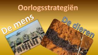 Oorlogsstrategiën