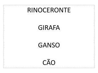 RINOCERONTE GIRAFA GANSO CÃO