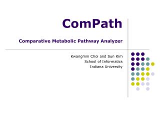 ComPath Comparative Metabolic Pathway Analyzer