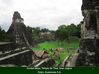 Ciudad Maya, Templo de Tikal, Gran Jaguar Petén, Guatemala C.A.