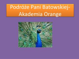 Podróże Pani Batowskiej- Akademia Orange