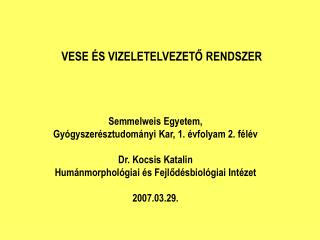 Semmelweis Egyetem, Gyógyszerésztudományi Kar, 1. évfolyam 2. félév Dr. Kocsis Katalin