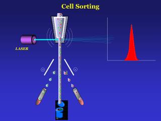 Cell Sorting