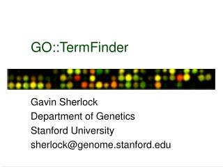 GO::TermFinder